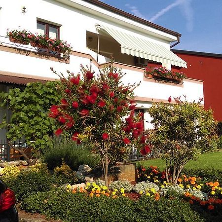 Apartments Mari Novigrad Istria Exterior foto